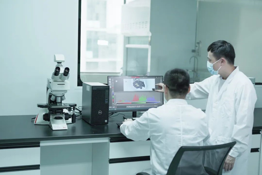 ����ͻ��-������κ�����_MG������Ϸ